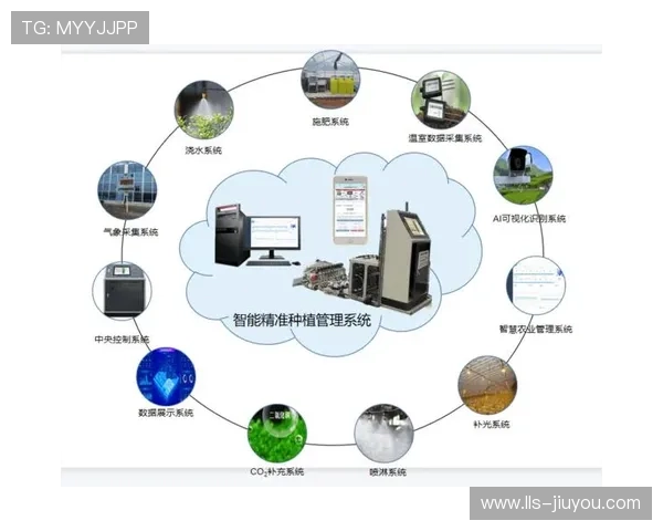 智能节目标签系统部署，实现内容精准分类